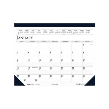 DayMinder Monthly Planner, Academic Year, Ruled Blocks, 12 x 8